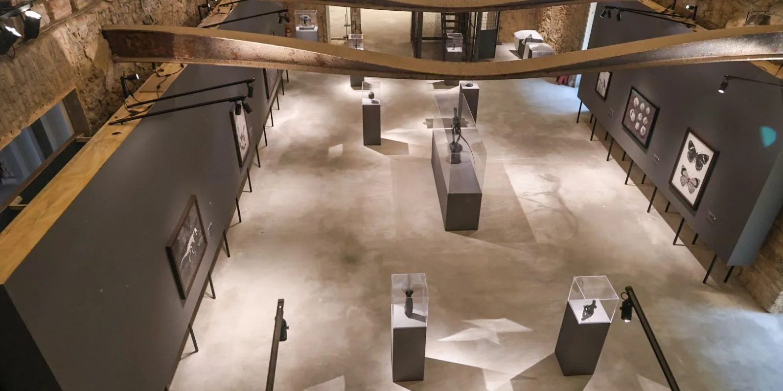 Museo Nacional celebra 208 años con dos nuevas exposiciones en São Cristóvão