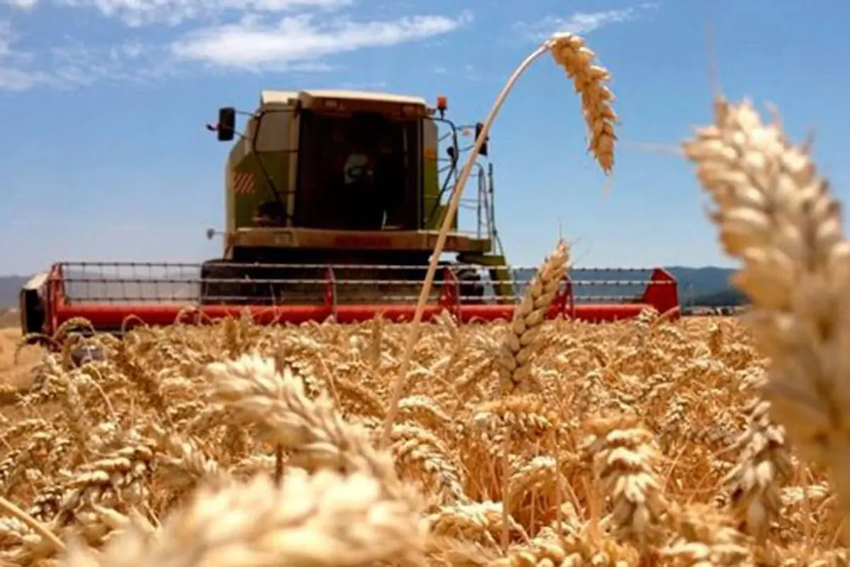 El trigo alcanza máximos en casi dos años por tensiones geopolíticas globales