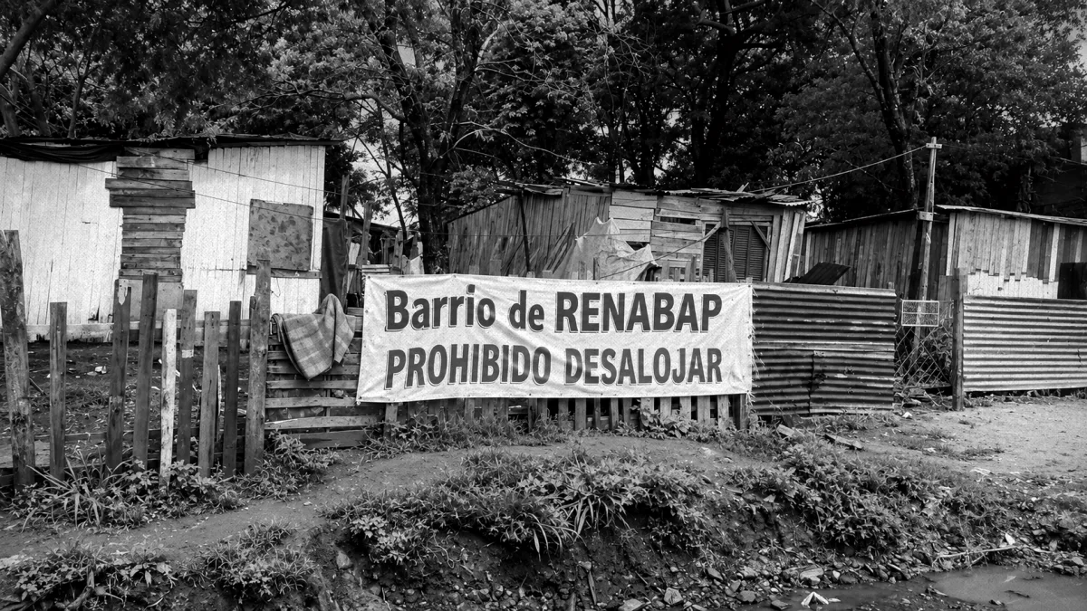Avances en la ley sobre propiedad privada generan críticas por facilitar la extranjerización y concentración de tierras