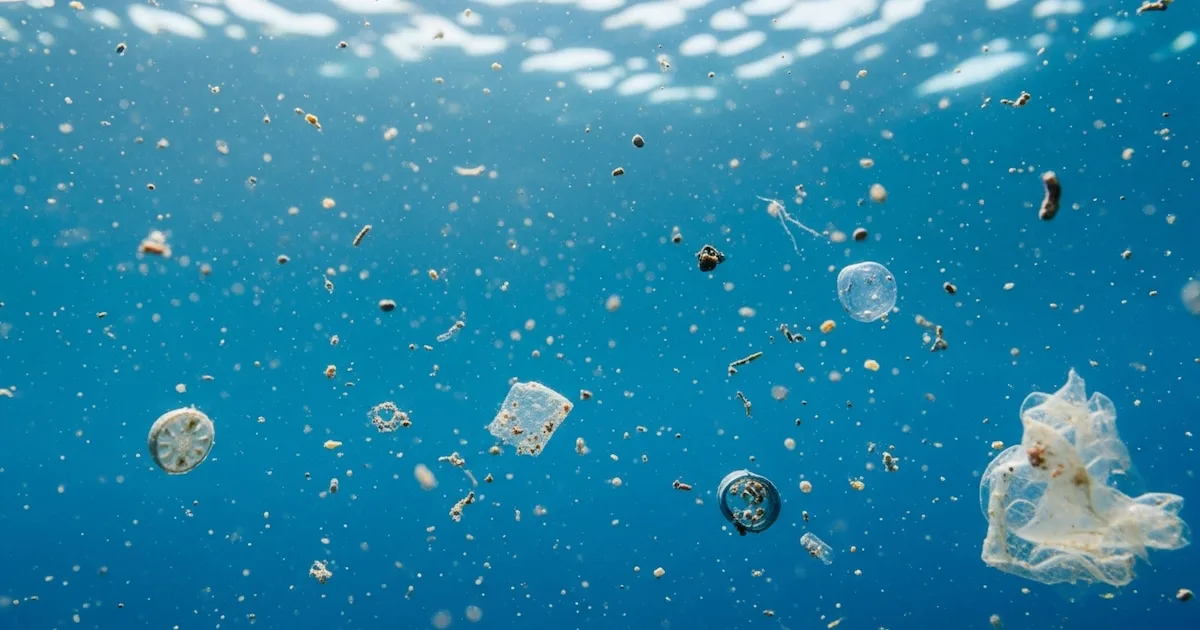 Científicos trazan el mapa de la contaminación en el Atlántico y detectan puntos críticos