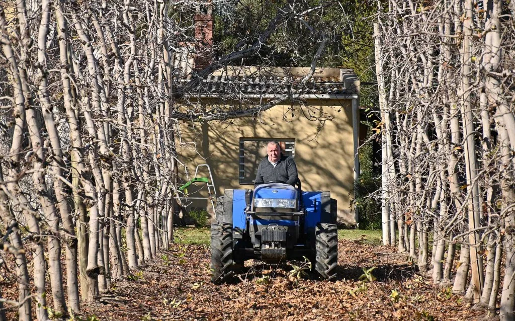 Cinco generaciones mantienen viva la chacra centenaria de fruticultura en la Patagonia