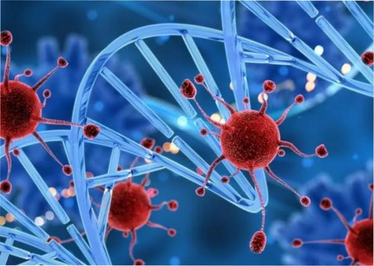 Descubren que la velocidad del ciclo celular influye en la transformación cancerígena