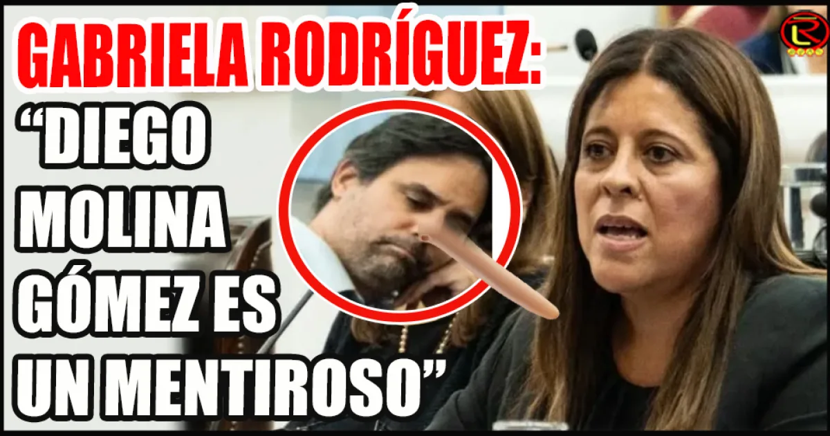 Diputada radical critica enérgicamente a su par por uso de redes y falta de compromiso legislativo