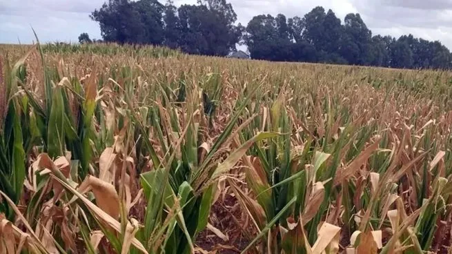 El Gobierno declara emergencia agropecuaria en Chubut, Santa Cruz y Mendoza por fenómenos climáticos