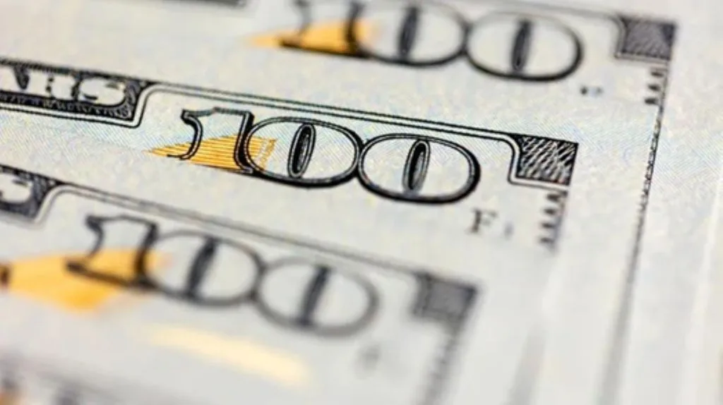 Estabilidad en el dólar oficial y moderación en el riesgo país durante la jornada financiera