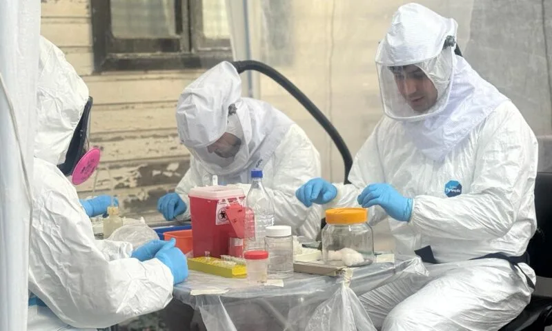 Finaliza operativo de vigilancia por hantavirus en Ushuaia sin detección del ratón colilargo