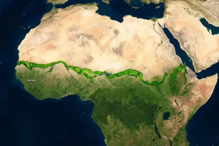 África impulsa la Gran Muralla Verde para frenar la expansión del Sahara