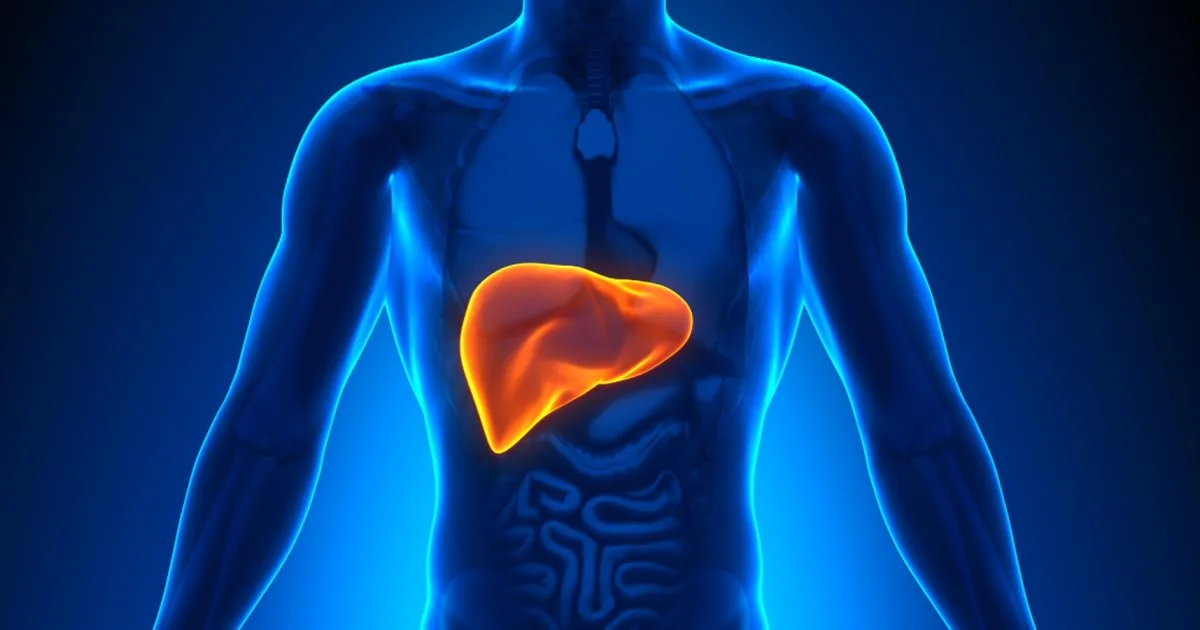 La ciencia sobre los mitos de la "limpieza hepática" y cómo cuidar el hígado