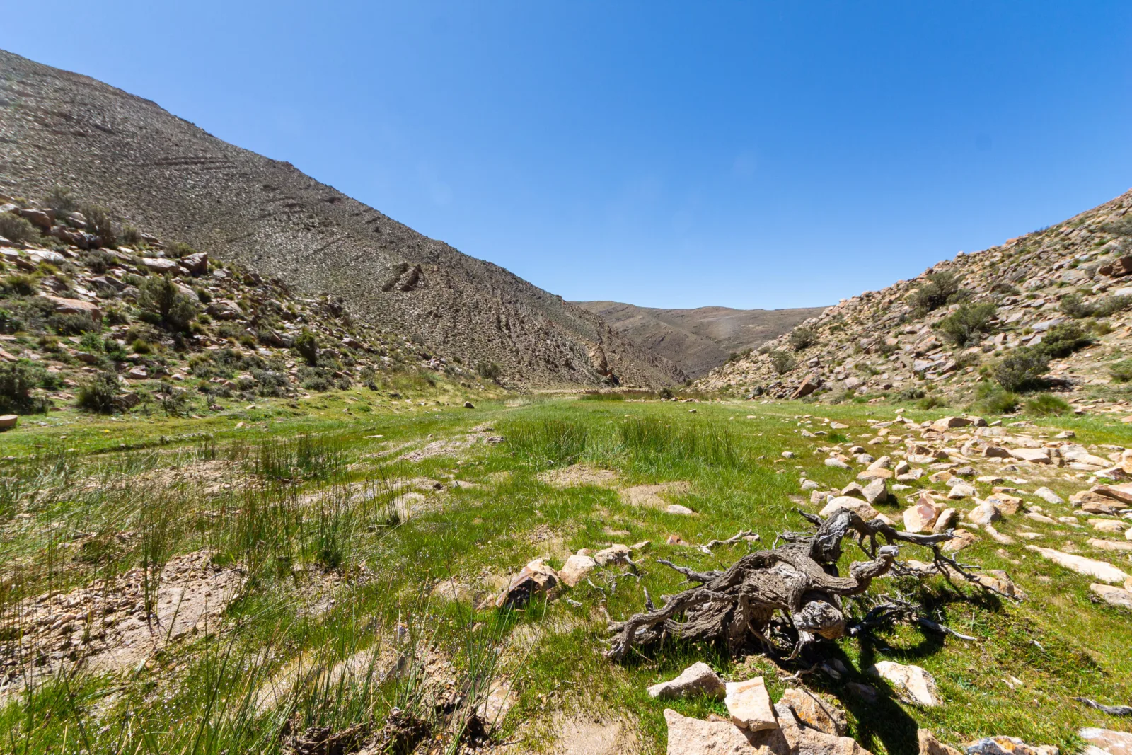 La diversidad y amenazas en los humedales de la Reserva Natural Villavicencio
