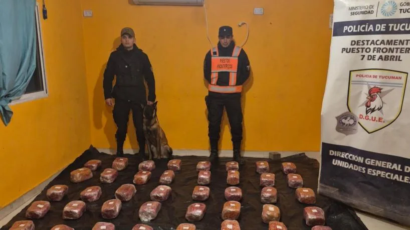 La Policía de Tucumán secuestró más de 48 kilos de marihuana y detuvo a dos mujeres vinculadas al envío