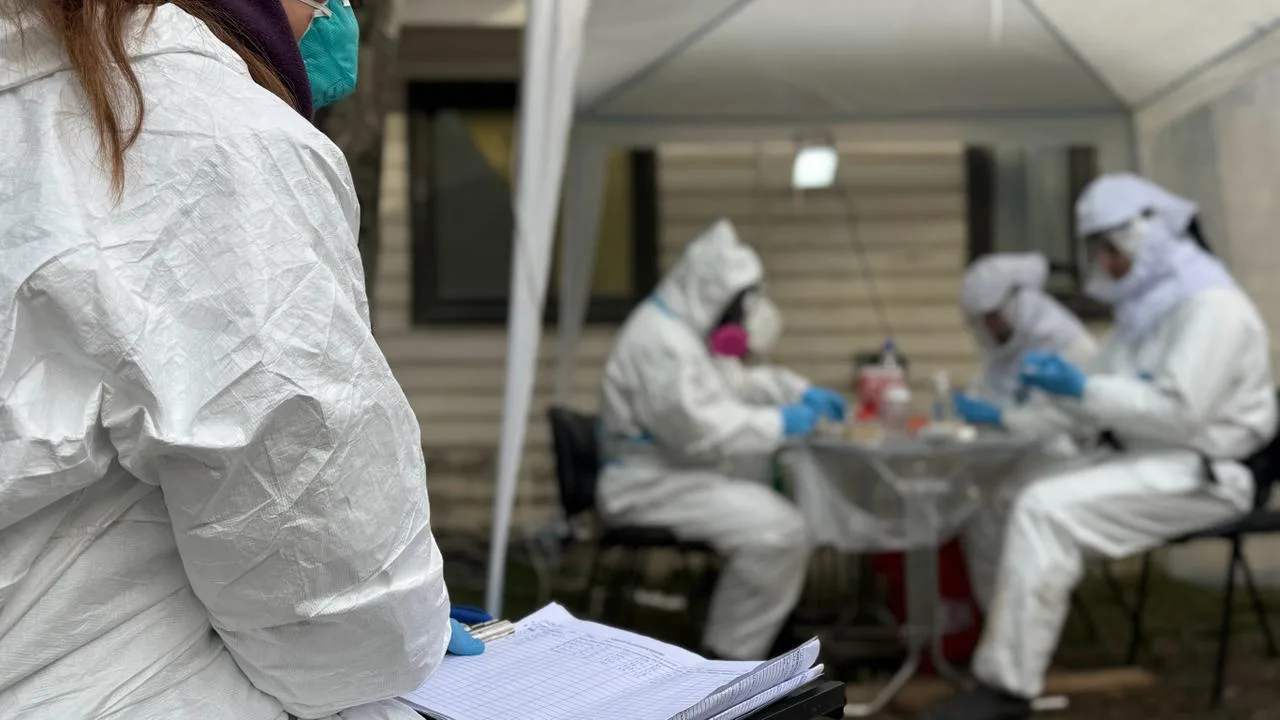 No se registró presencia del ratón colilargo en operativo por hantavirus en Ushuaia