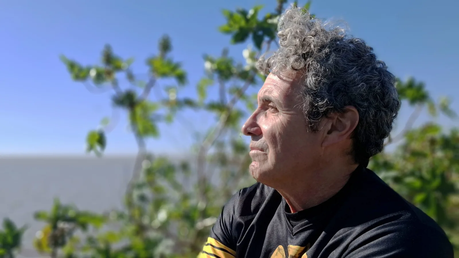 Una antología que recorre la literatura de playa desde Homero hasta Hebe Uhart