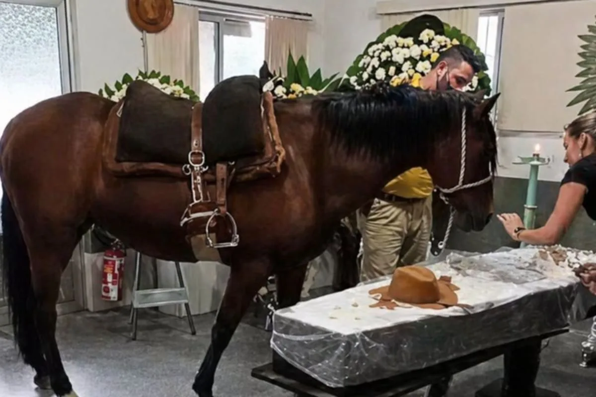 Una yegua acompañó el funeral de su dueño en Brasil y su reacción ante el ataúd se hizo viral