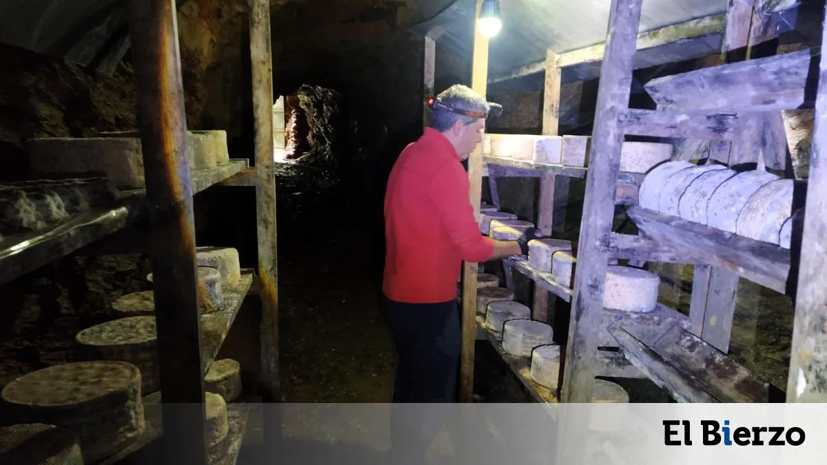 Vallelongo, la quesería que transforma una antigua mina en el secreto de sus sabores en Ocero