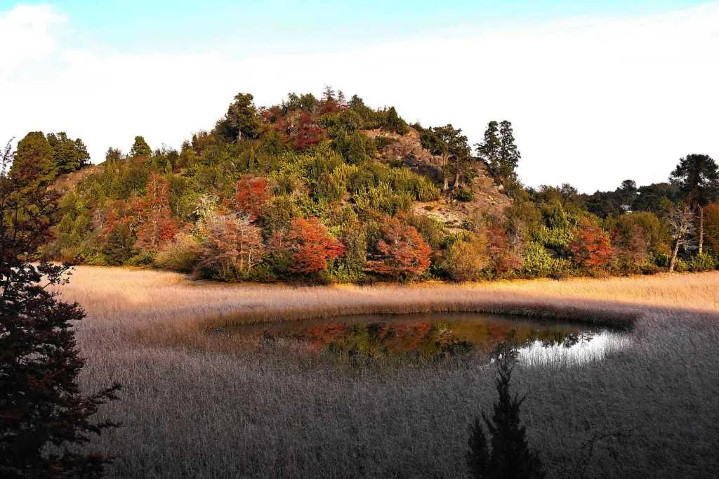 Villa Pehuenia-Moquehue, el paisaje patagónico que se transforma en otoño