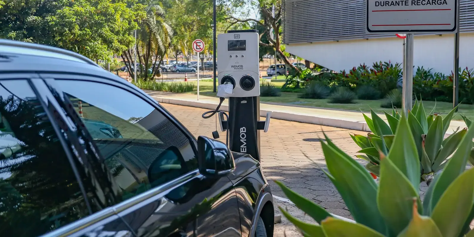 Gobierno mantiene aranceles elevados para autos eléctricos pero reactiva cupo cero por seis meses
