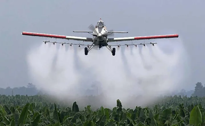 Justicia ordena detener fumigaciones cerca de viviendas en Entre Ríos y genera disputa con ruralistas