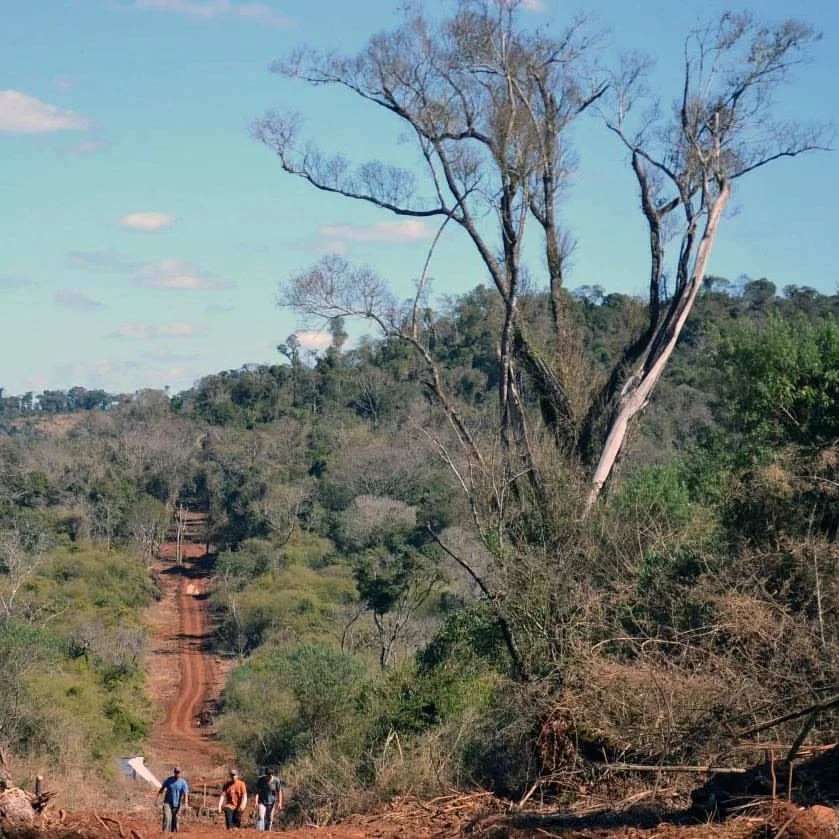 La Iglesia cuestiona el proyecto sobre propiedad privada por su impacto en tierras y recursos naturales