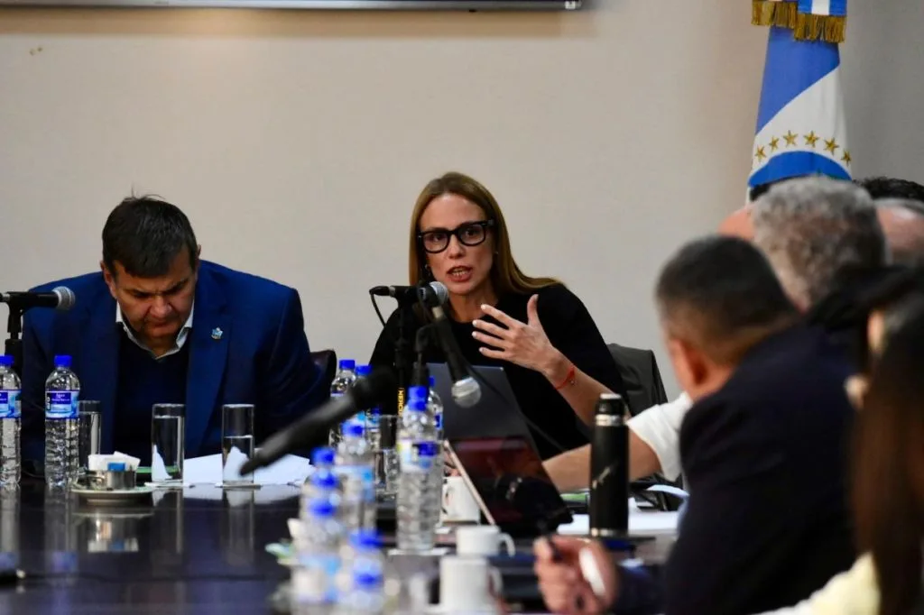 La Legislatura aprueba créditos con la CAF para infraestructura vial y energética en Neuquén