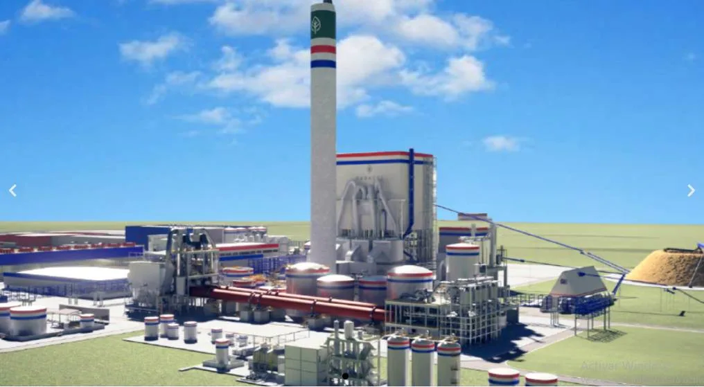 Paraguay avanza en proyecto de planta de celulosa con producción prevista para 2030