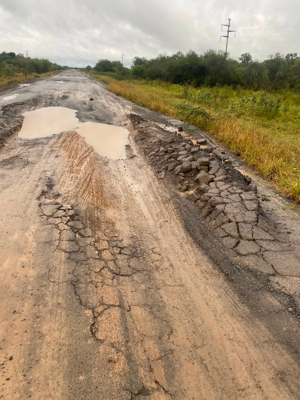 Productores alertan por el avance del deterioro en rutas nacionales y caminos rurales de Formosa