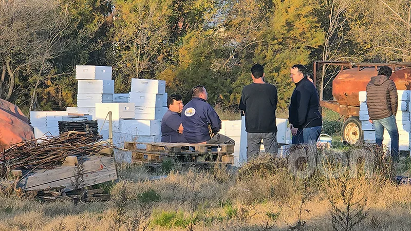 Recuperan más de 150 colmenas robadas en Eduardo Castex y hay un detenido