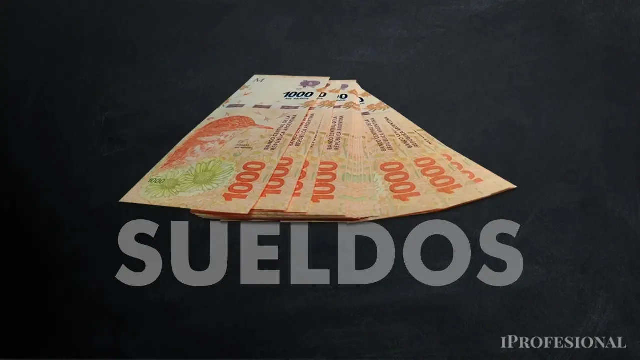 Sectores y salarios promedio en Argentina: análisis actualizado de las demandas laborales