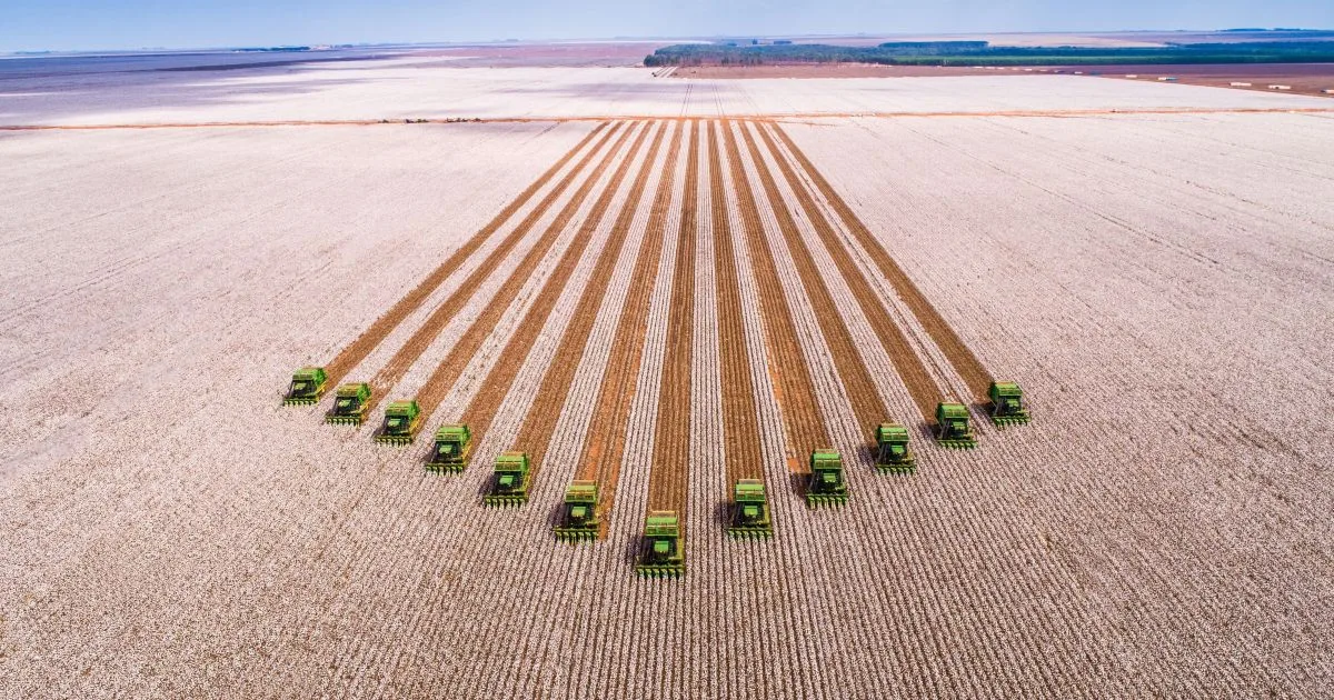 Valor de tierras cultivables de SLC Agrícola alcanza R$ 13,5 mil millones tras nueva valoración