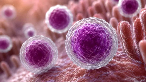 Brote de ciclosporiasis en Estados Unidos genera alerta sanitaria en varios estados