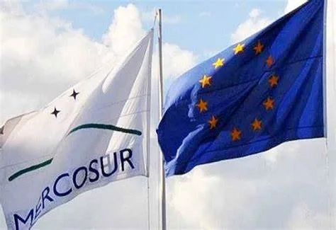 El Acuerdo Mercosur-UE impulsa las economías regionales argentinas en uno de sus mercados clave