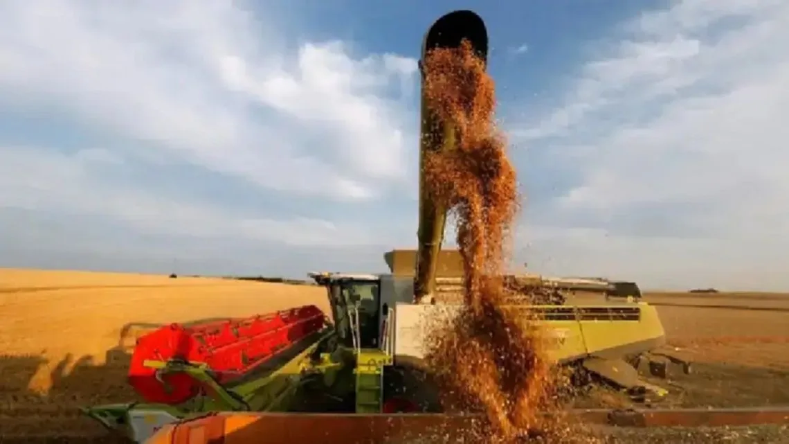 El agro impulsa un aumento del 17,5% en exportaciones y aporta más de US$22.000 millones