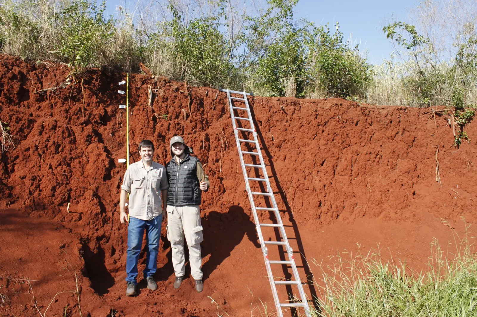 Investigación del INTA revela la complejidad y diversidad de los suelos rojos en Misiones